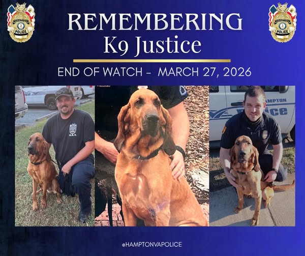 K9 Justice Hampton, Virginia Death